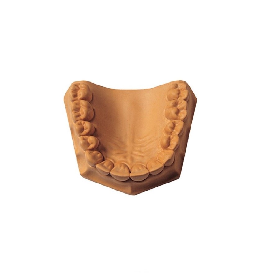 Labstone | Dens 'N Dente